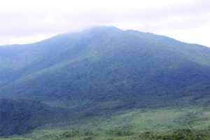 ハミギタン山