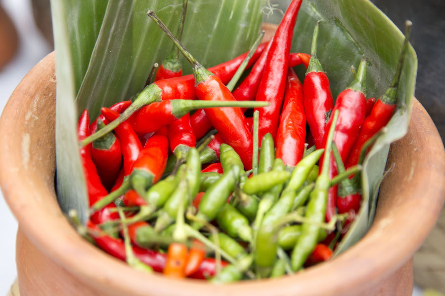 ビコール 【公式】フィリピン政府観光省